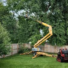 Reliable Baldwin, FL  Tree Services Solutions